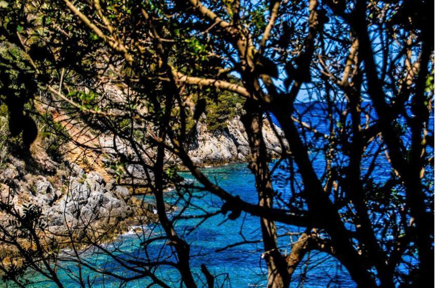 Appartamento Indipendente Vista Unica Manciano Exteriör bild